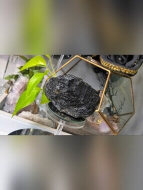 Rare Deep Black Lustrous Black Tourmaline Crystal Cluster